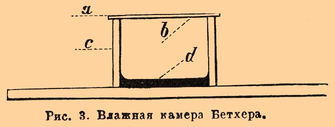 Дрожжи