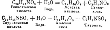 Желчь