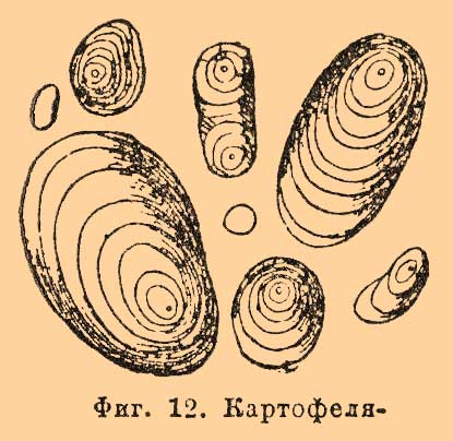 Крахмал, в химии*