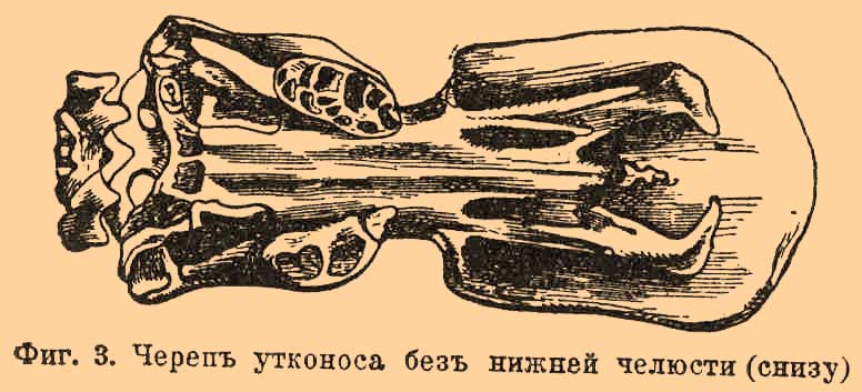 Однопроходные*