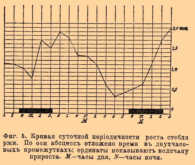 Рост растений *