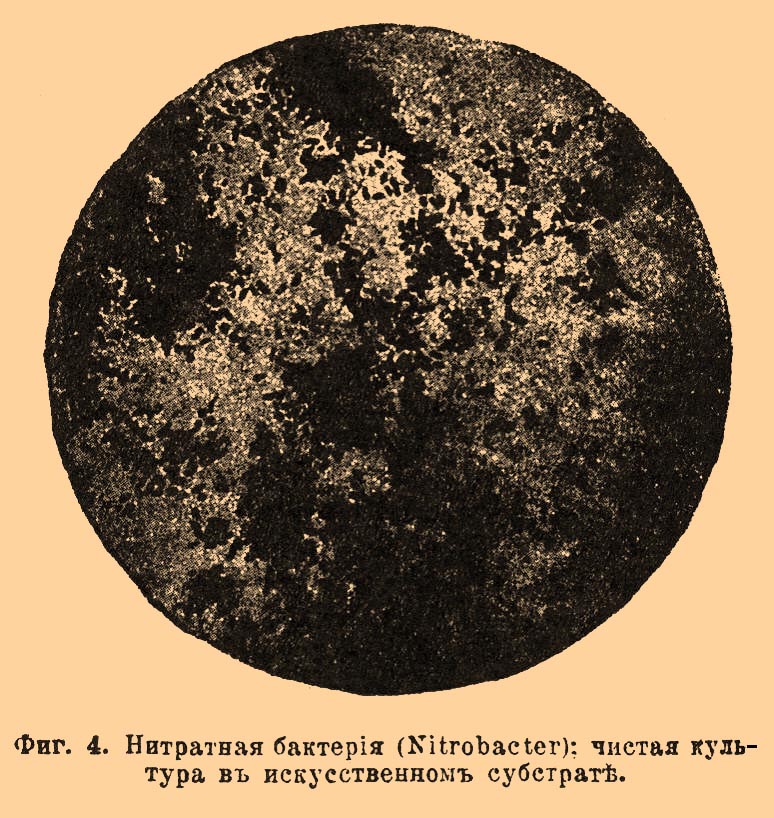 Селитрообразование*