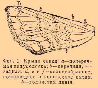 Совки*