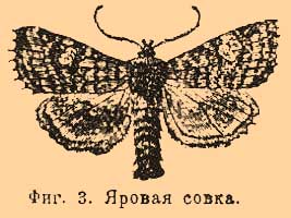 Совки*