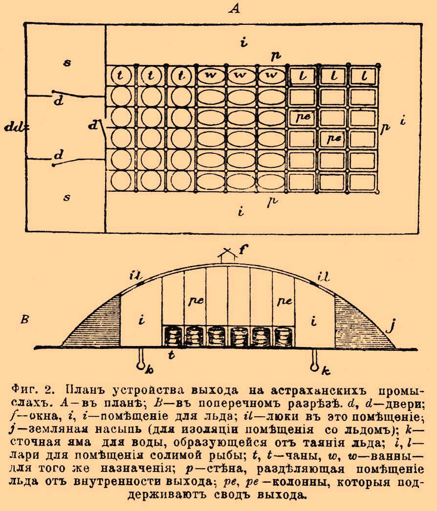 Солильни*