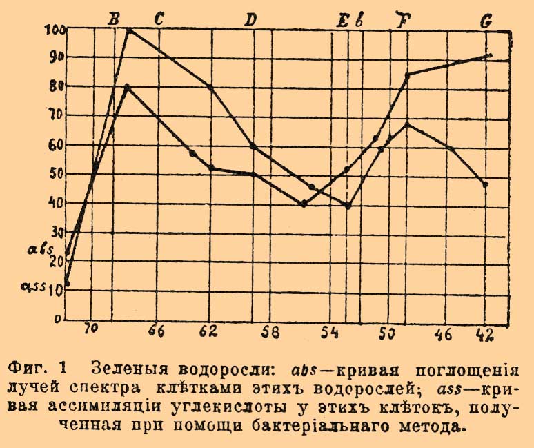 Фикохром*