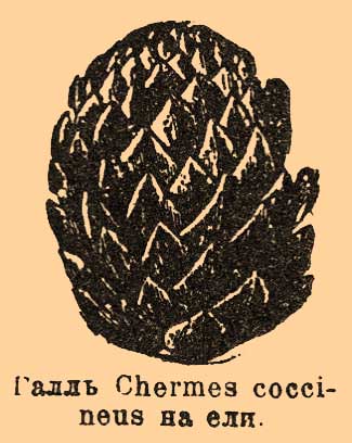 Хермесы