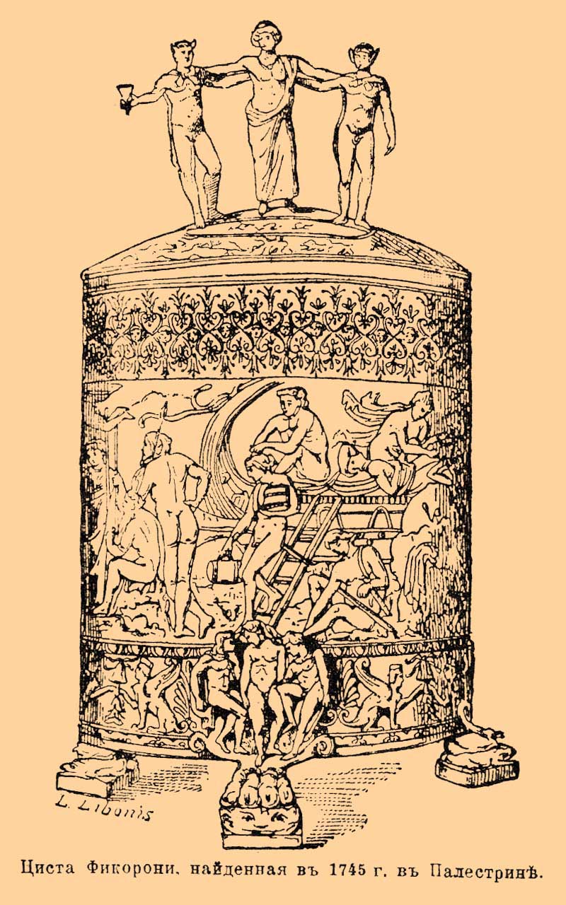 Циста, род корзины