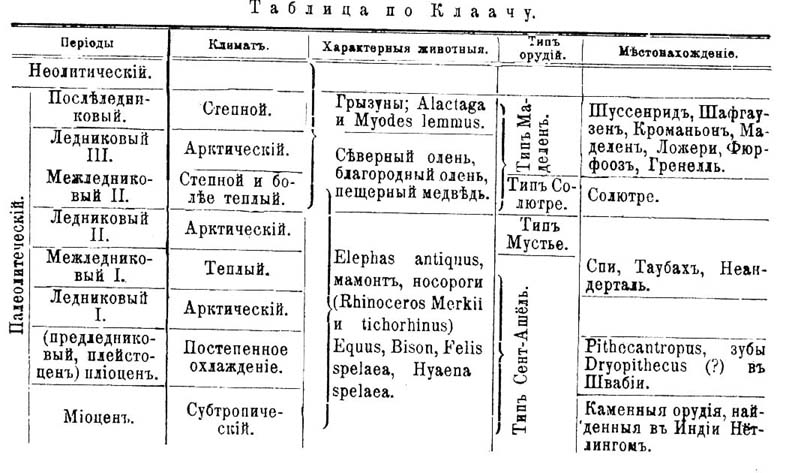 Человек, зоологический очерк