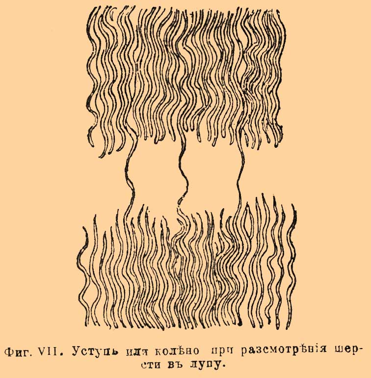 Шерсть*