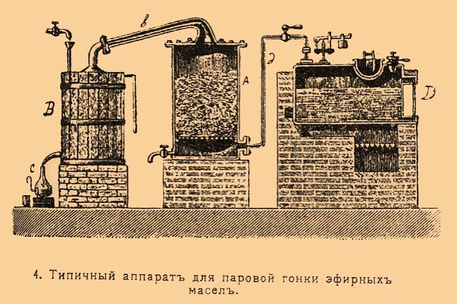 Эфирные масла*